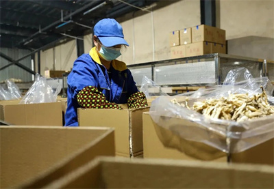 玉屏 市場需求旺，菌棒生產忙，食品互聯網銷售助農增收