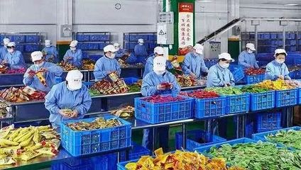 螺螄粉 從地方小吃到互聯網爆款的“瘋狂圈粉”之路